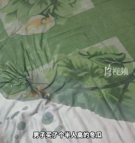 山东，一男子因最近天气炎热，他便去菜市场买了个半人高的冬瓜，准备抱着睡觉解暑。确