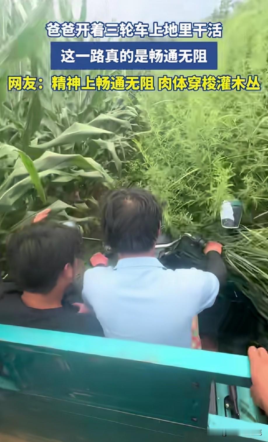 接受不了这个，怕有虫子[笑着哭]而且还要小心别把皮肤划到！
