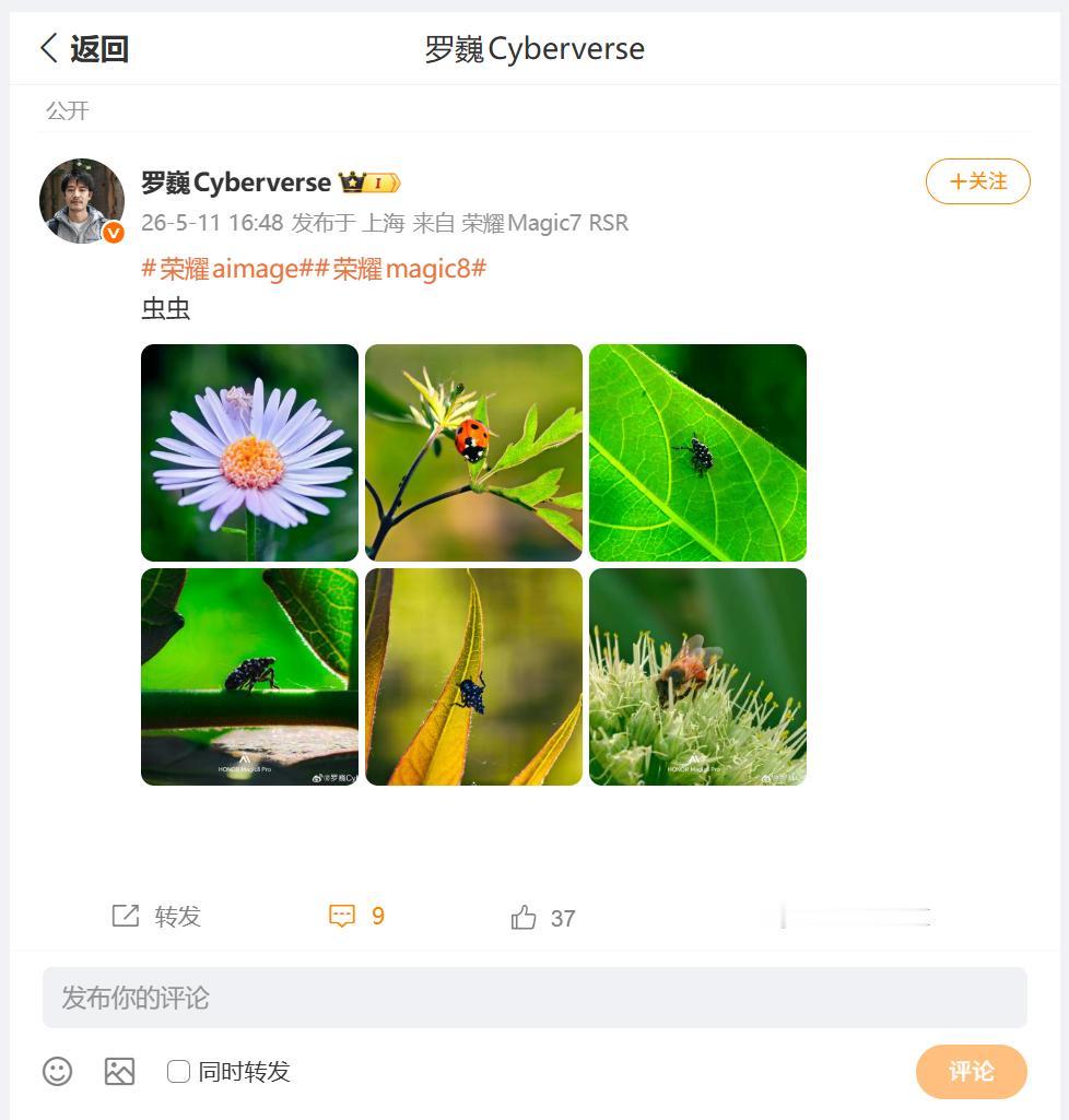 微距拍摄和长焦微距拍摄，成像效果差距还是蛮大的，刚刚看到荣耀首席影像工程师罗巍，
