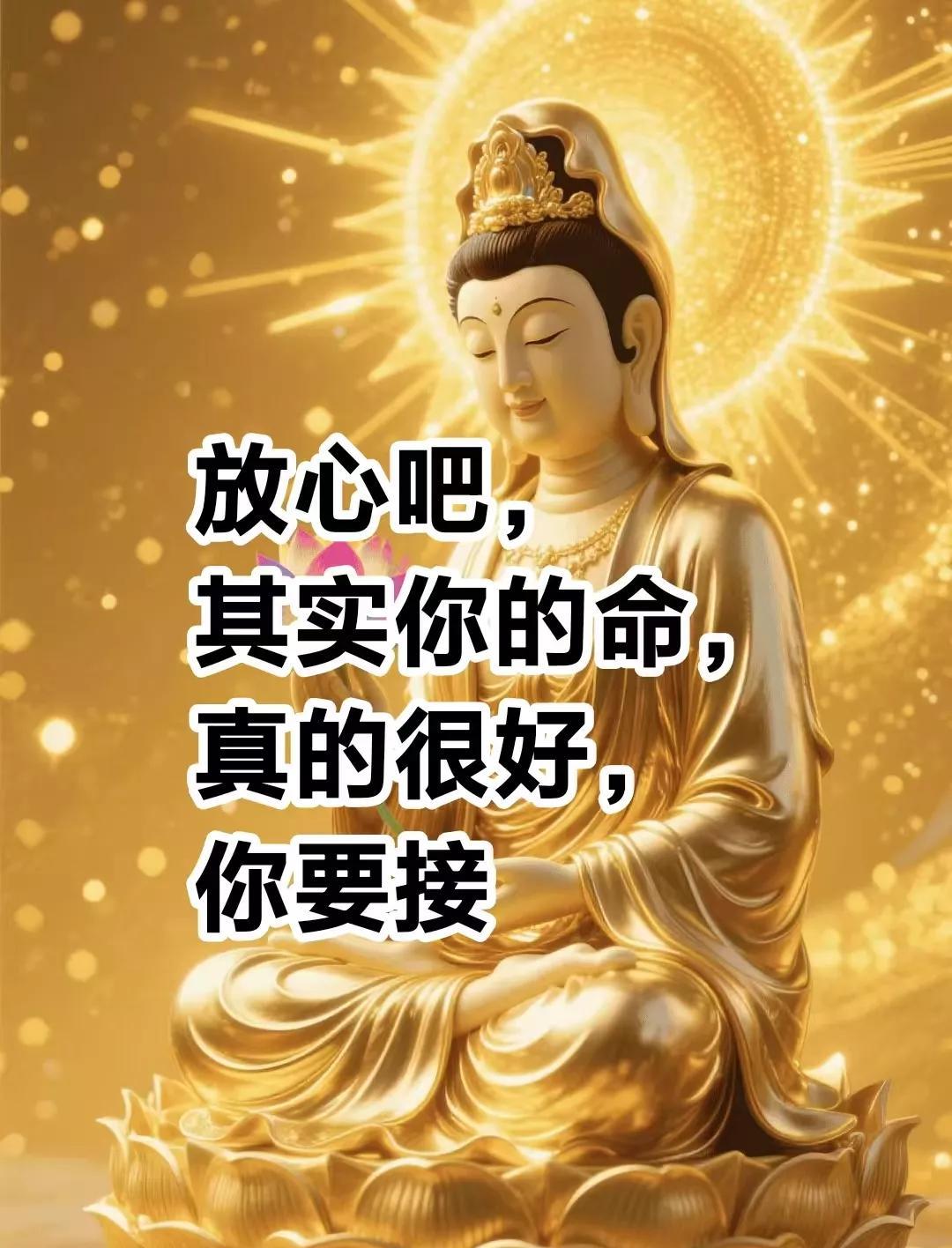 放心吧，其实你的命真的很好，否则你是刷不到我的，从今天开始，你将福慧双增，好运连