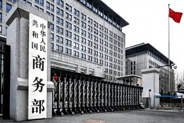 这才是大国该有的样子！这一招“精准点穴”，真解气！商务部这记重拳，实在是大快