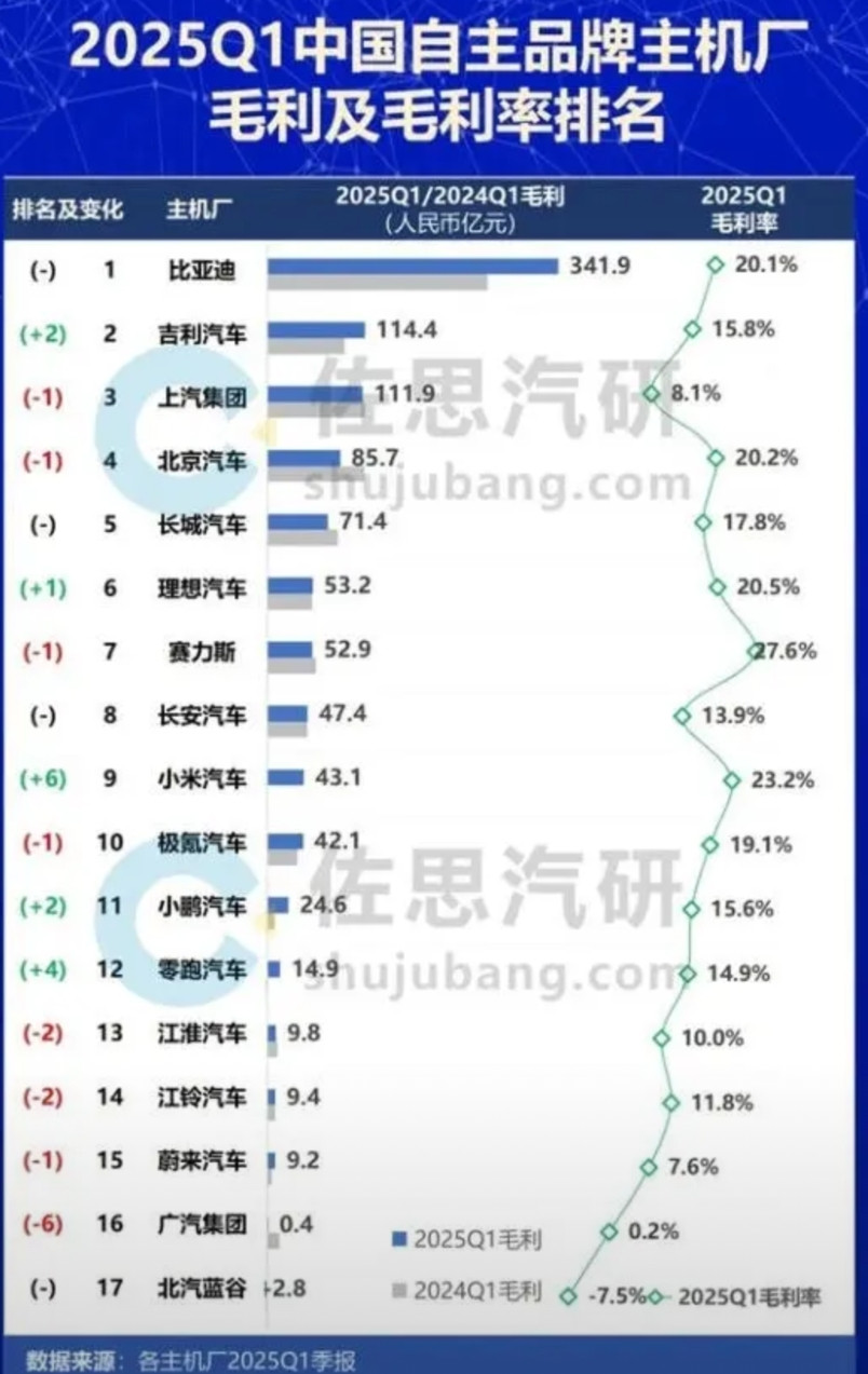 2025车企毛利排行榜来了！宝子们，2025年第一季度中国车企毛利排名新鲜