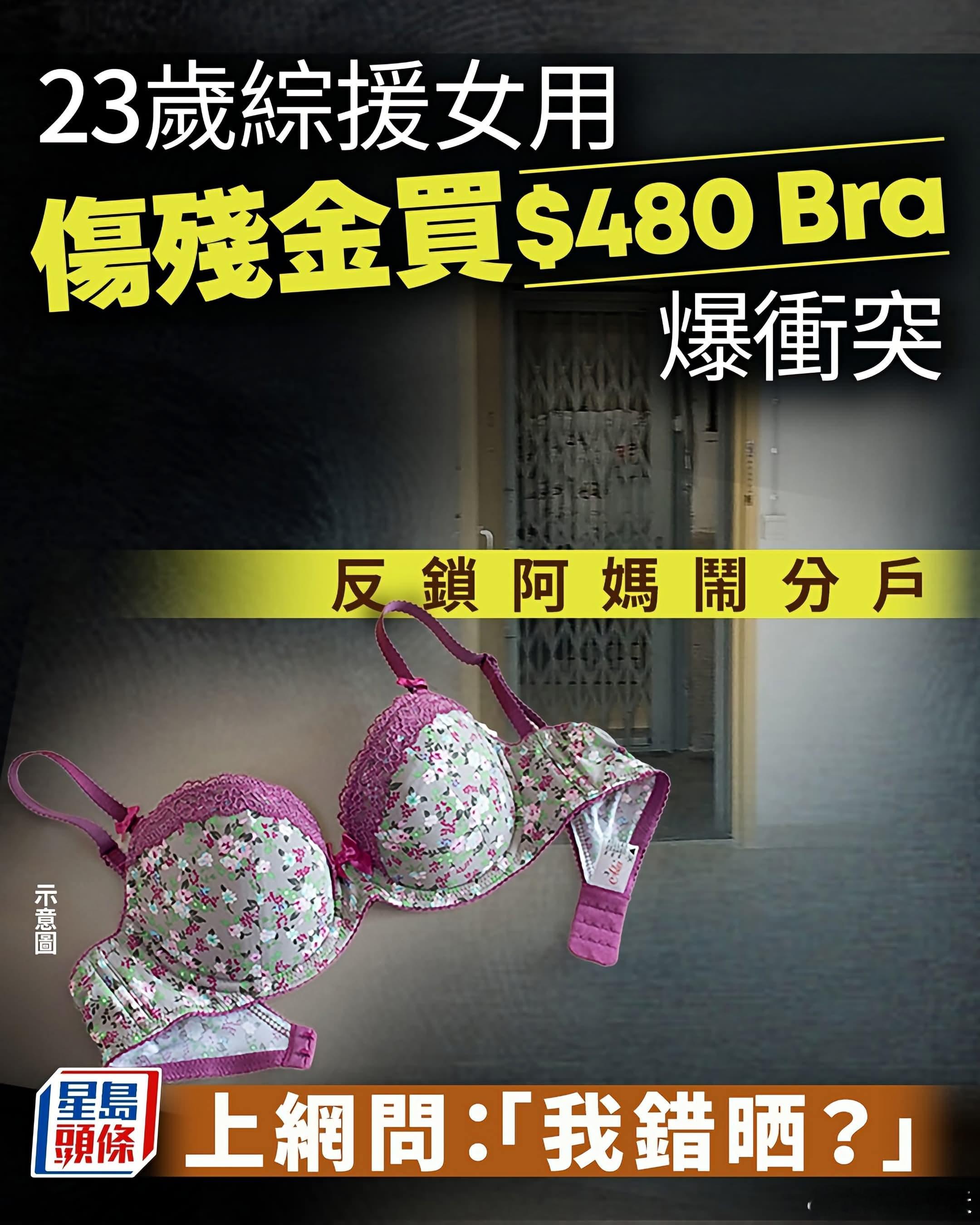 23岁残疾女买480元胸罩，被网民嘲寄生虫星岛报道，香港一名23岁综援（救济金）