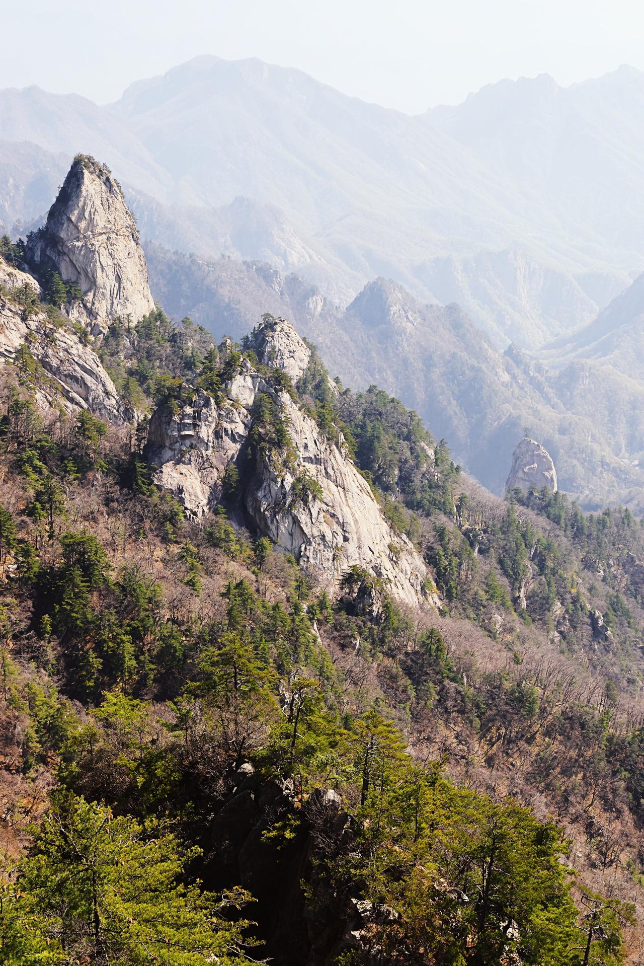 翻相册时看到一张海边落日的照片，瞬间被治愈。那天没什么安排，就去了海边，正好碰上