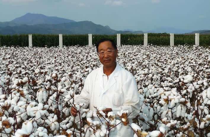 “不引进美国棉种，靠咱们自己研发，等到什么时候？”1992年，为应对猖獗的棉铃虫