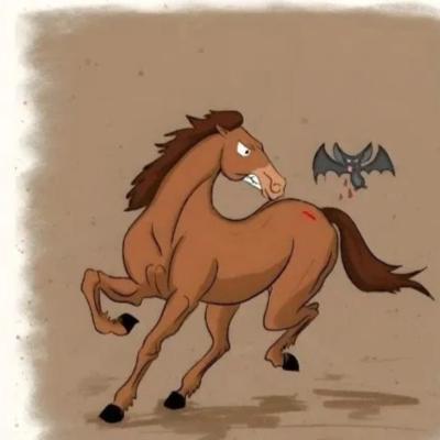 很多夫妻离婚不是因为出G而是毁在了“野马效应”上野马效应来源于一个真实的故