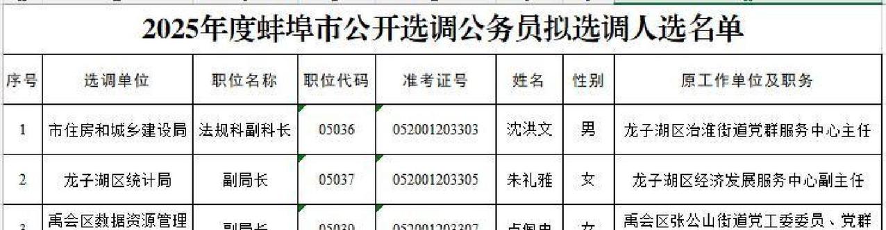 蚌埠的公务员队伍正迎来一批靠谱新人，市里刚敲定三位通过层层关卡的家伙，沈洪文他们