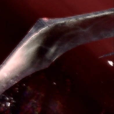 18:00蔷薇的种植方法：1、种植方法种植蔷薇花可以采用播种的方法，蔷薇花