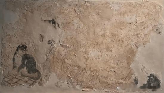 北大新发现：1200年前中国人撸的是豹猫据媒体报道，北京大学生命科学学院、生命科