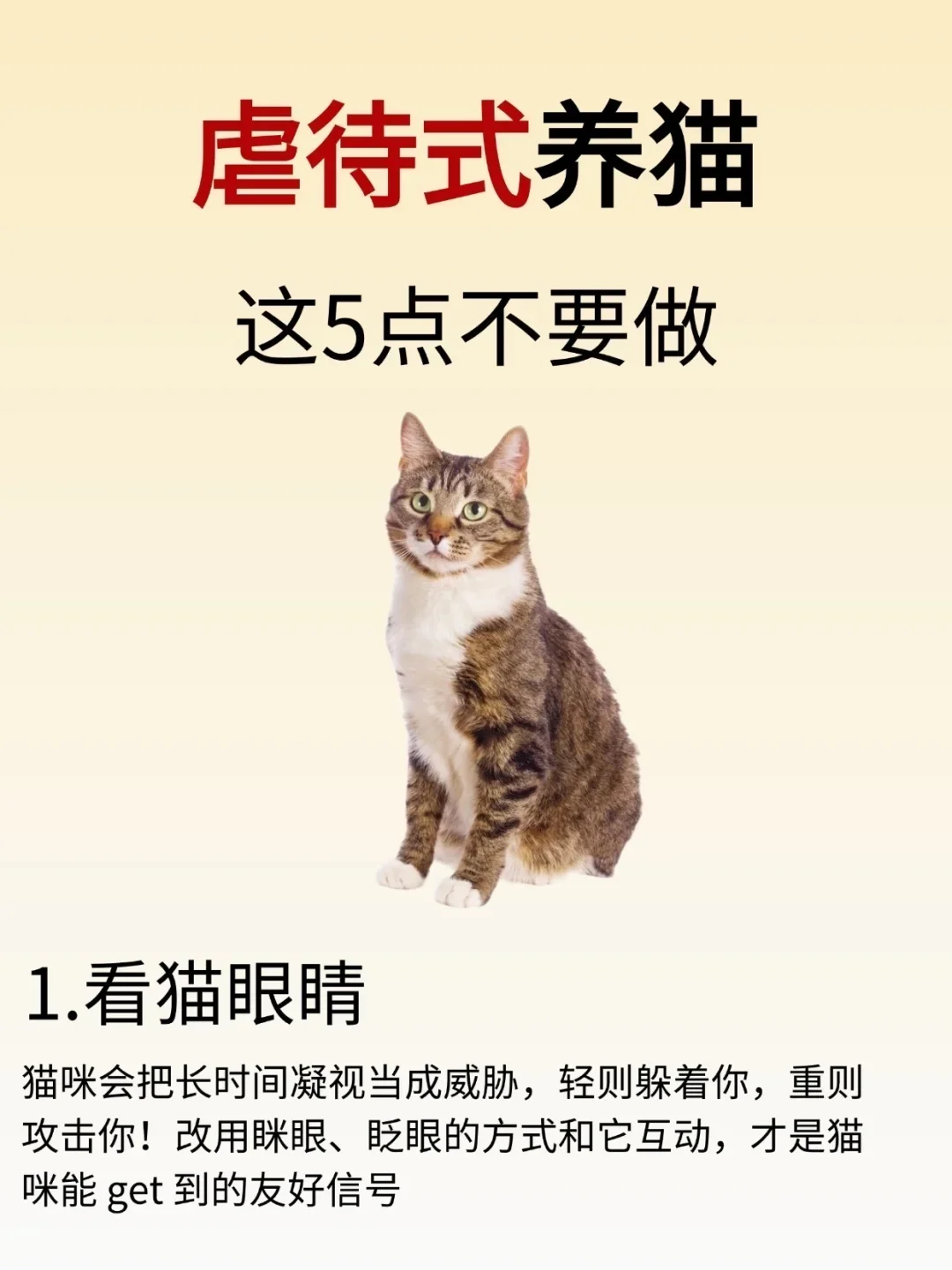 虐待式养猫，这5点不要做