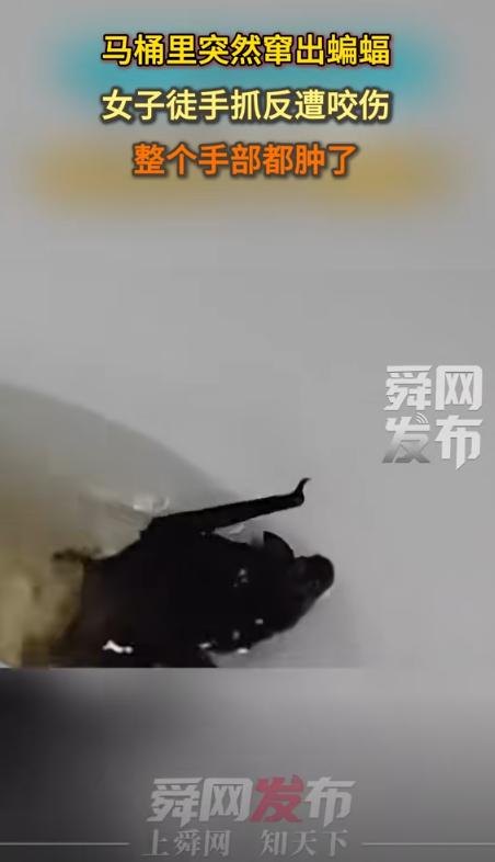 悲剧还是发生了！8月31日，河南信阳，一女子回家之后正要上厕所时，结果却发现马桶