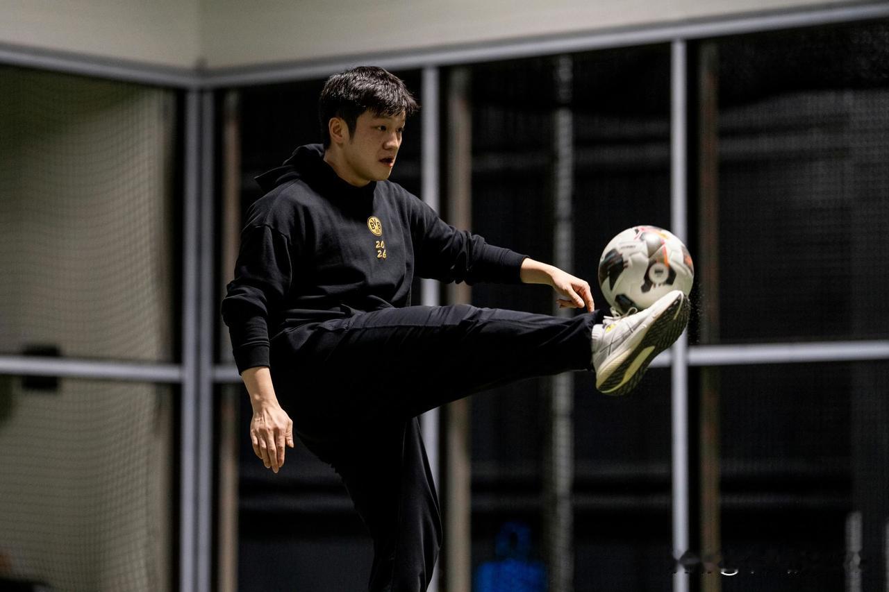 樊振东的最新图片根本刷不完，我又找到了18张分享给大家。波尔发了8张，多特蒙