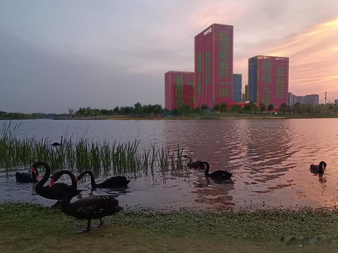 明朝奸臣谱：专制皇权的毒瘤洪武朝：胡惟庸专权乱政，意图谋反；蓝玉恃功跋扈，遭诛
