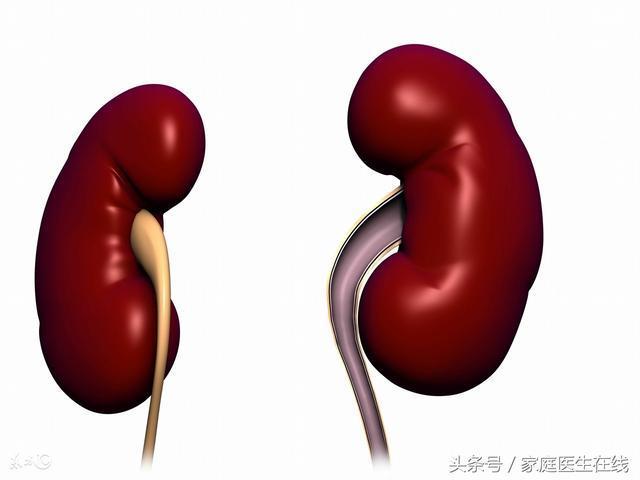 如果身体没有出现4个症状, 恭喜, 你的肾脏非常健康!