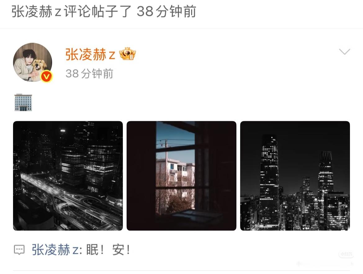 张凌赫帮粉丝修图张凌赫《真眠》我真的笑了啊啊啊啊啊啊真的很像我跟大家说晚安其实是