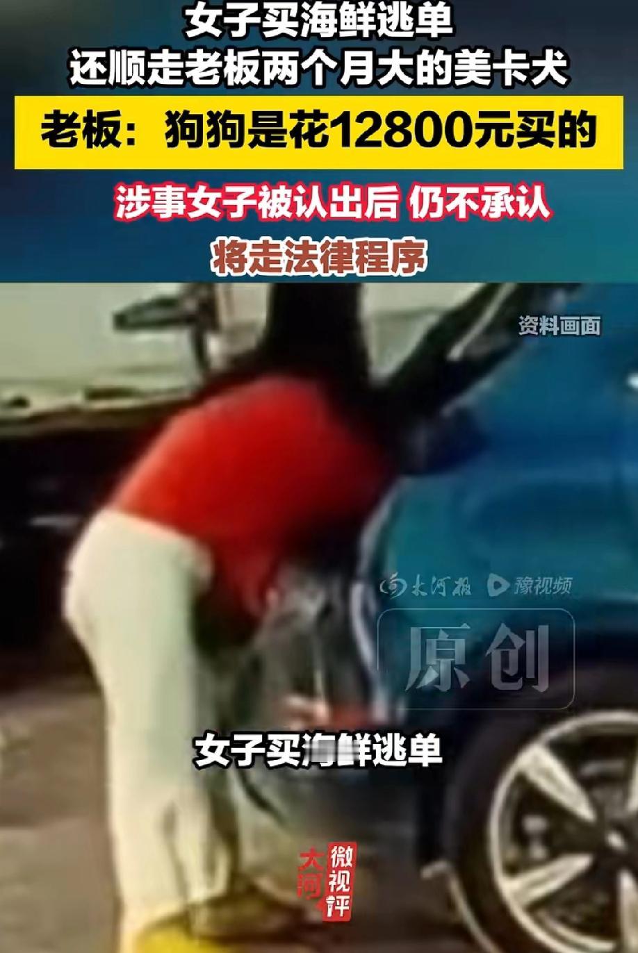 活不起！河北秦皇岛一名女子在店内买海鲜后，趁老板不注意将汽车后备箱内一只两个月大