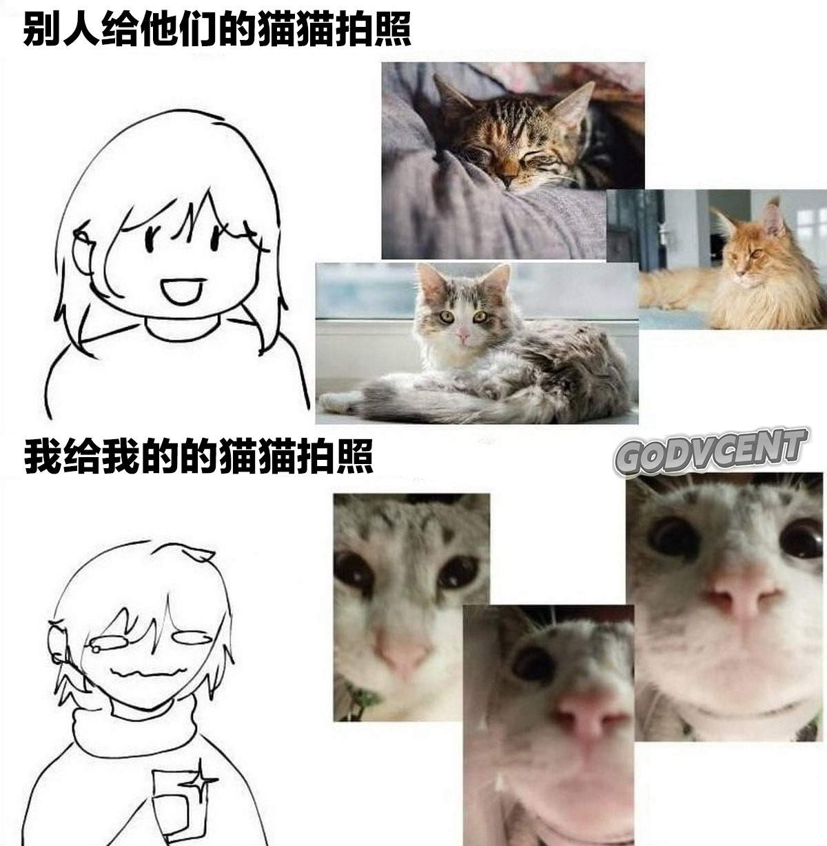好玩​​​