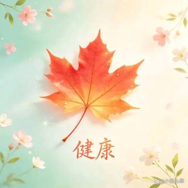 低谷期生活感悟——当你心情烂透、心烦意乱的时候，先别急着去干什么，把一切事情都停