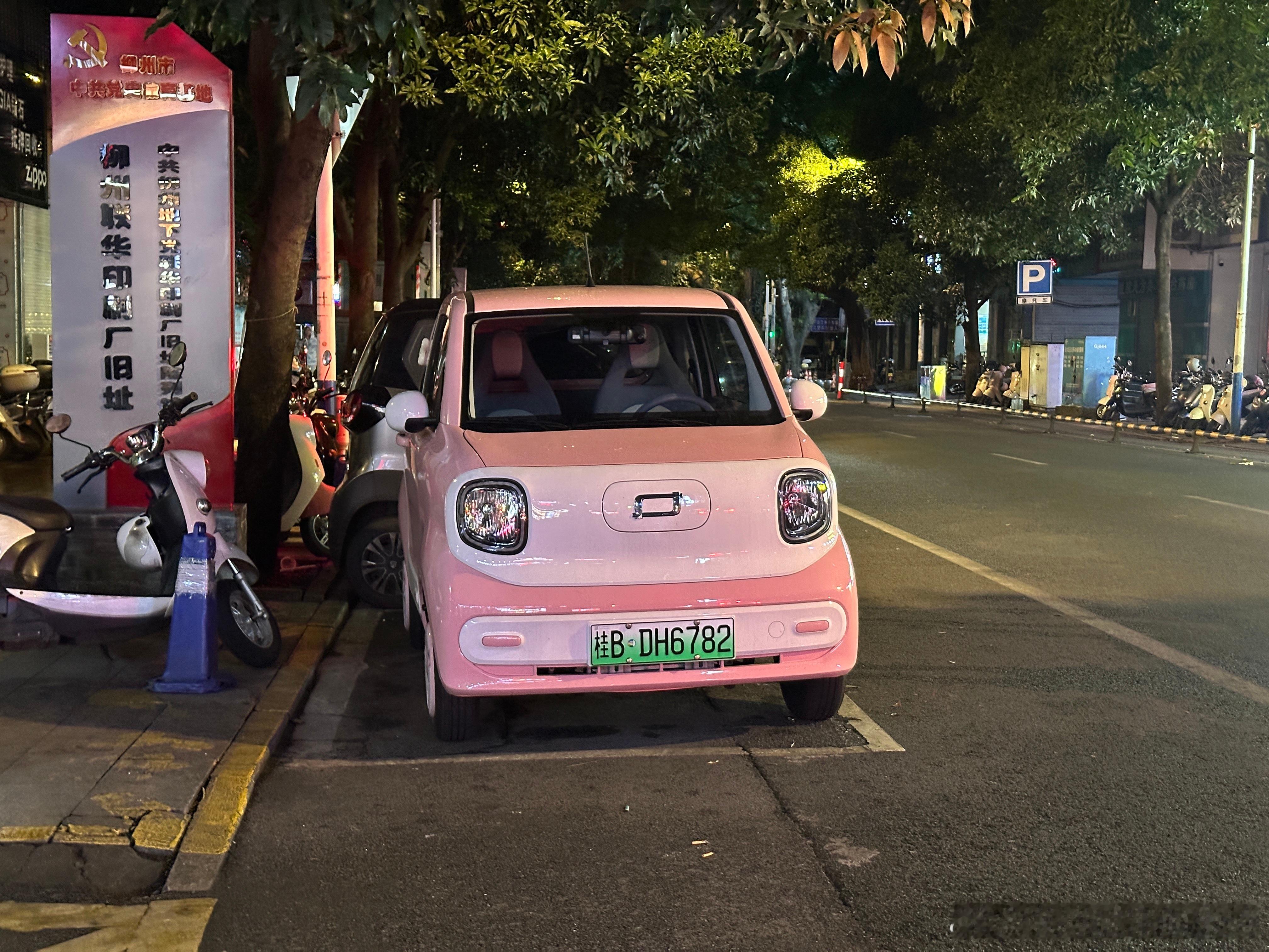 这应该是柳州最反骨的电车车主了米帅的车生活​​​