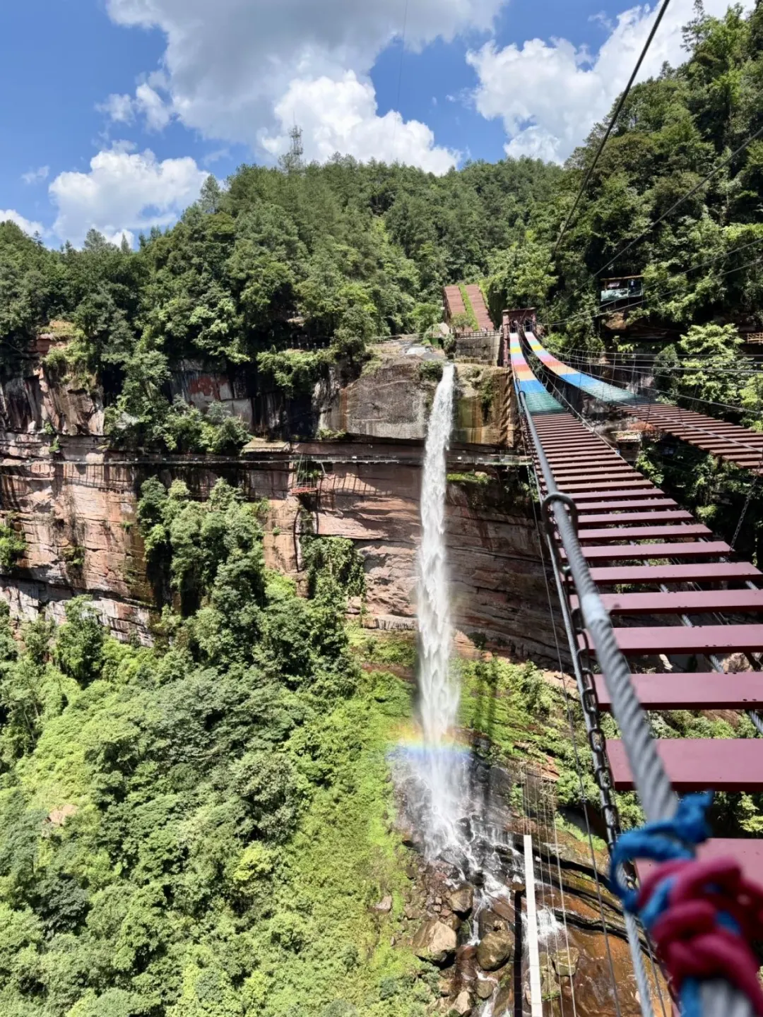 躲进四面山当野人，后劲太大了🌲