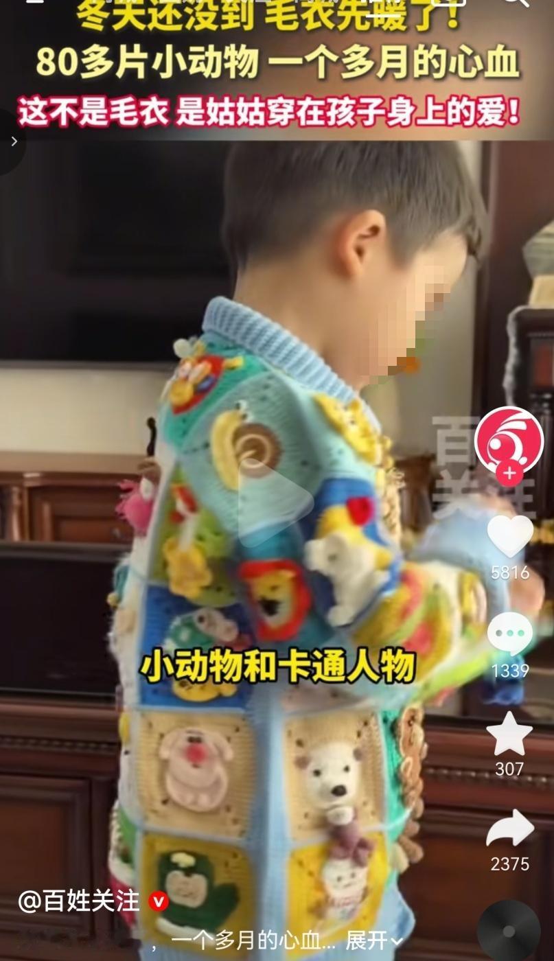 2026年10月，山东，一位姑姑用时一个月，给侄子织了一件小毛衣，80多片的小动