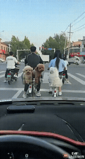 真的很搞笑