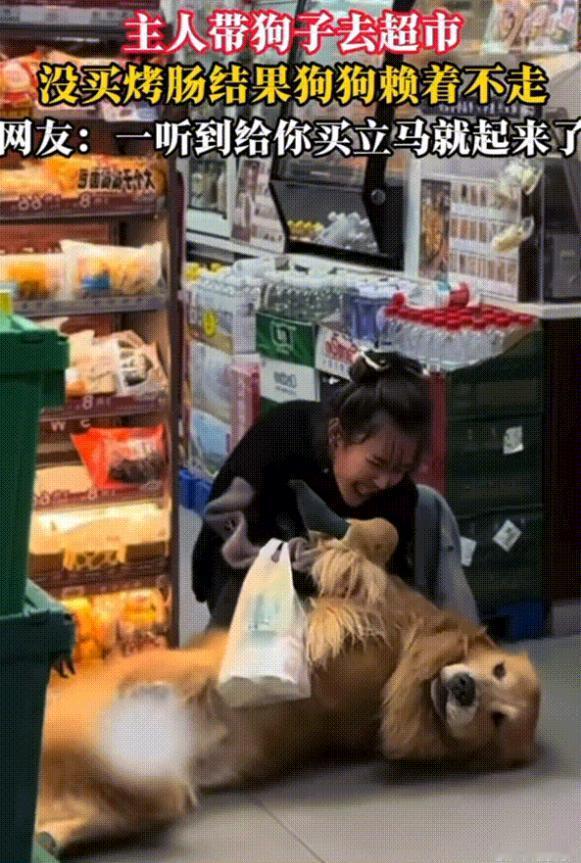 笑不活了！上海，女子带狗狗去超市，只因准备走的时候没给它买烤肠。结果狗狗直接躺地