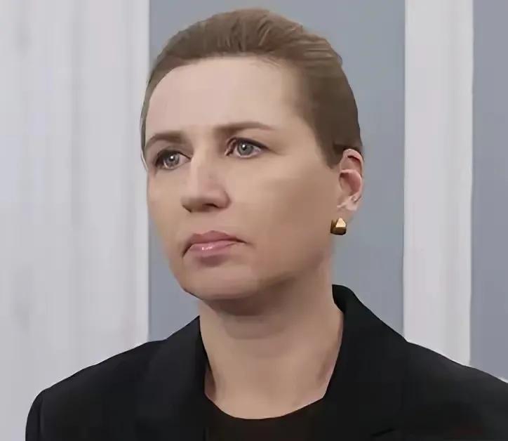 丹麦首相弗雷泽里克森真是有苦说不出，丹麦全国的兵力不到2万人，战机只有50多架，