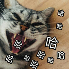 没点阅片量都看不懂现在的广告广告全是影视梗、经典名场面串烧，看过对应影片才能g