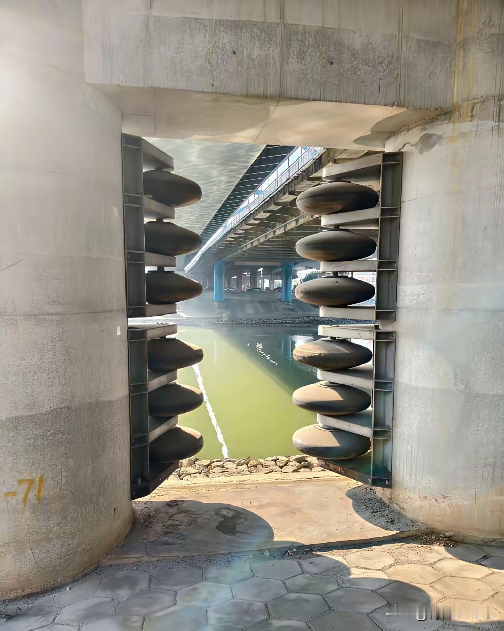 这个起到什么作用？