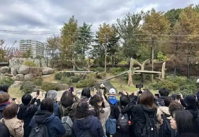 阴谋！阴谋！日本“间谍”进入杭州！他们不去西湖不看景。整天往城郊的产业园