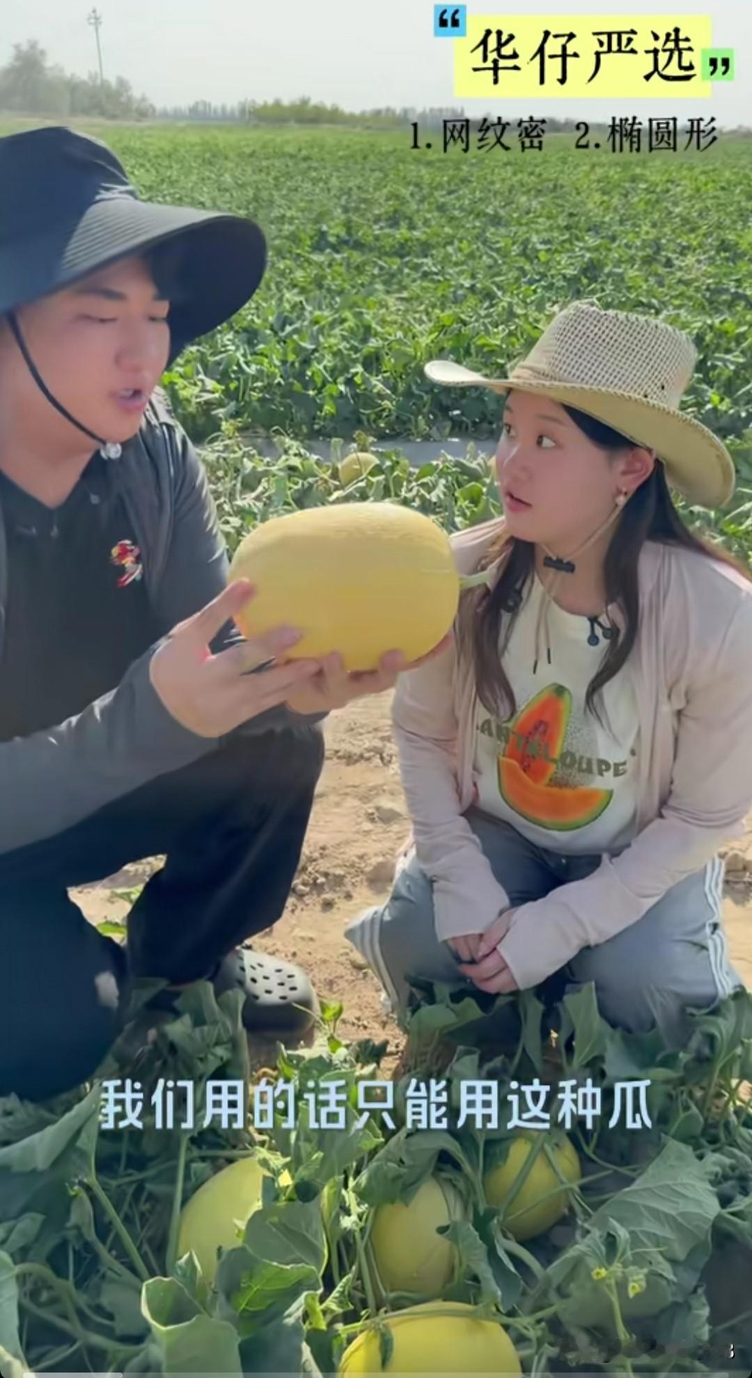 张家齐和全进华去新疆哈密瓜基地了，这里好美，全进华在耐心的教家齐妹妹怎样选瓜，全