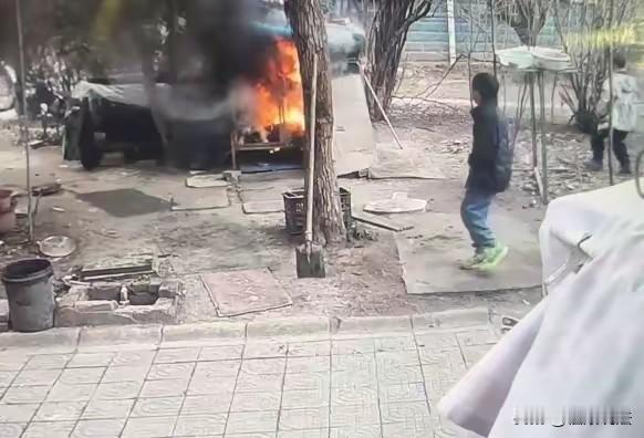 “残忍啊！”江苏连云港，2男孩把点燃的烟花伸进狗笼子里，结果，起了大火，女子家养