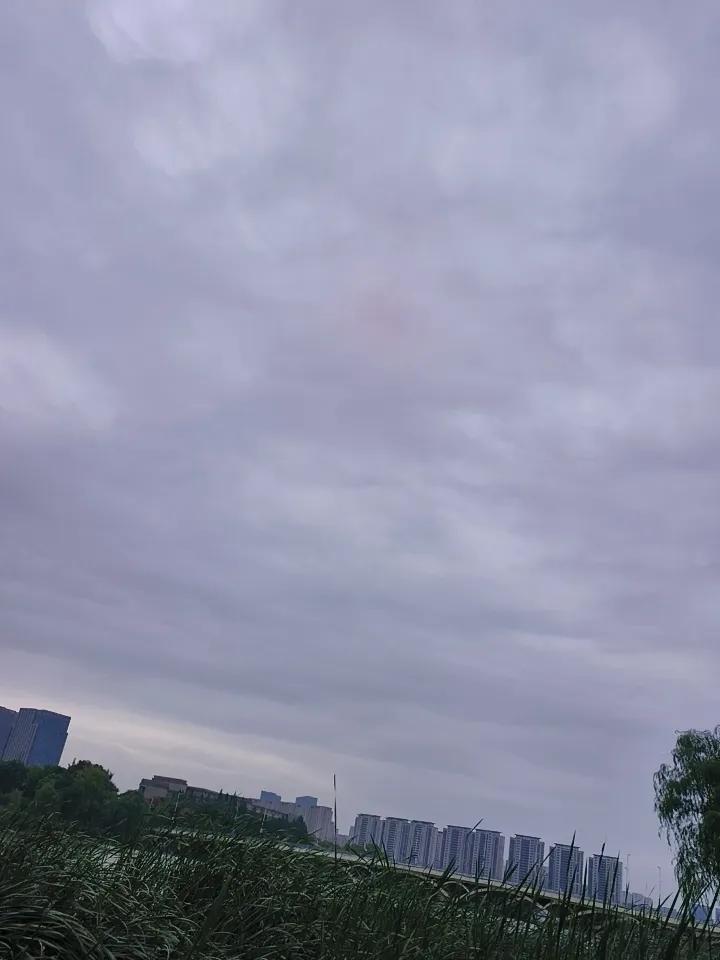这年头挣钱太不容易，8万粉丝每天就挣个快把，几毛钱，也就够买两个馒头吃吧，我是想