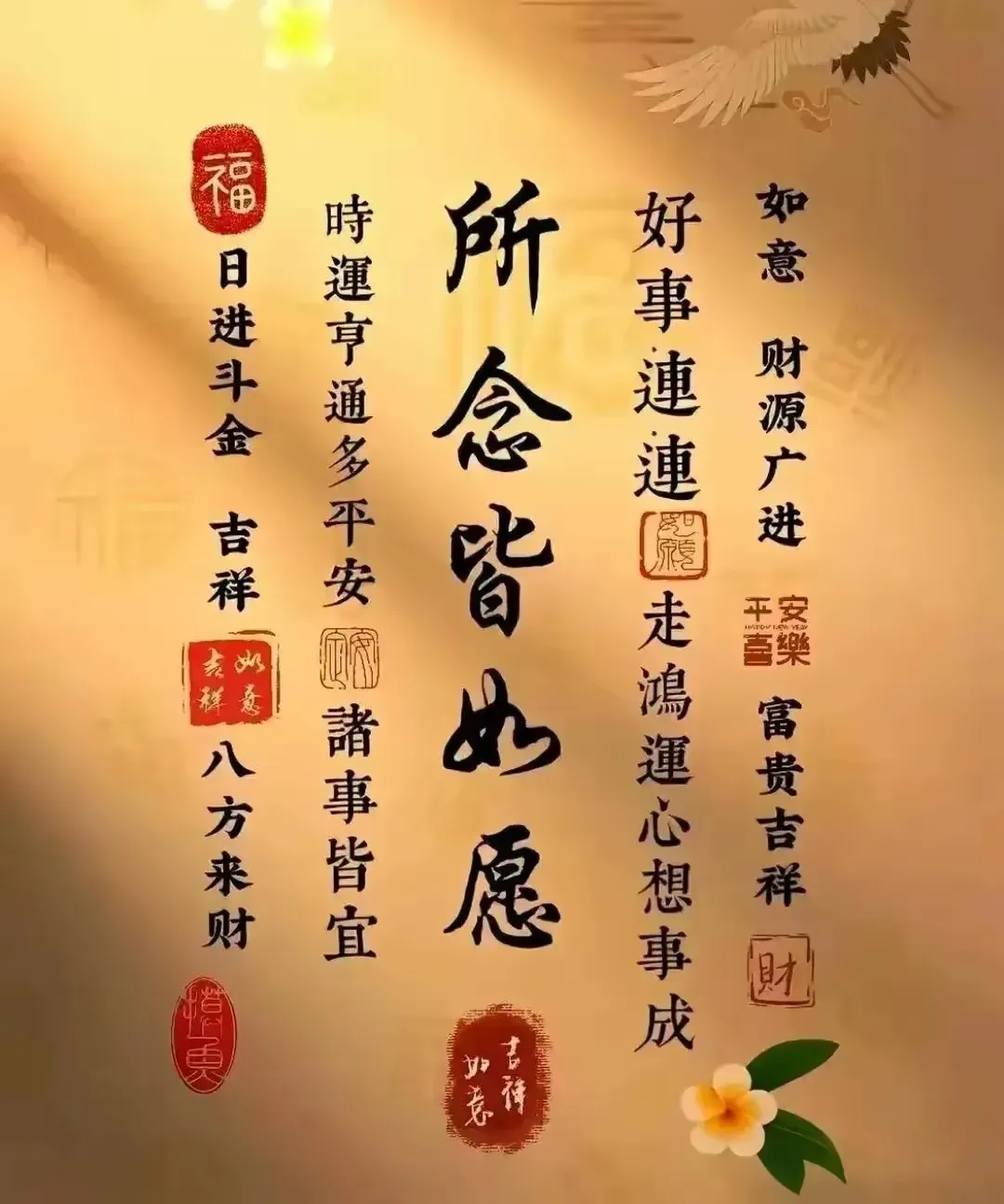 如果你在5月8日之前遇到了这段文字，那么恭喜你，艰难的日子已经结束了！不要急着划走，花点时间在这里，