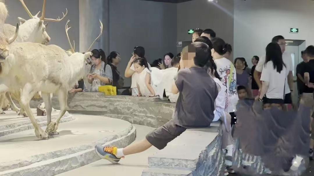 熊孩子背后有熊家长天气很热，上海自然博物馆人山人海。展览的内容，比较精彩，结果现