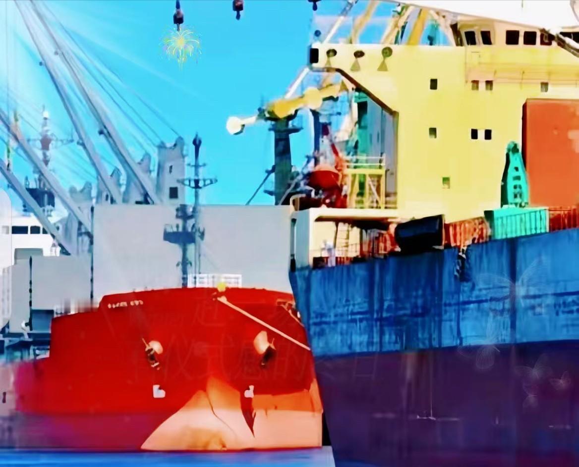 一艘满载6.9万吨巴西大豆运到家门口，被我们原路退回！巴西农业部说了，中国在