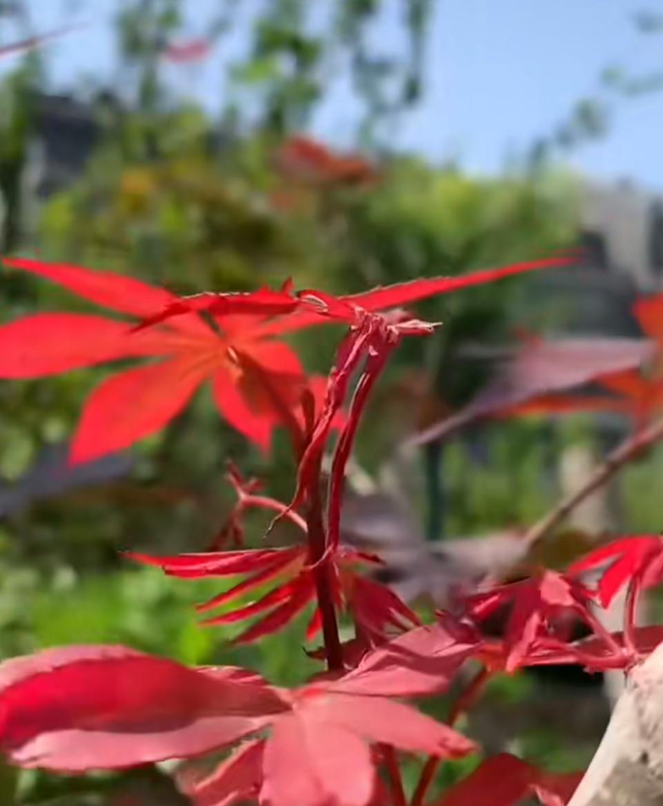 昨日（4月7日），北京二手房行情来了！除了网签量，另外三个数据值得关注，其中，有