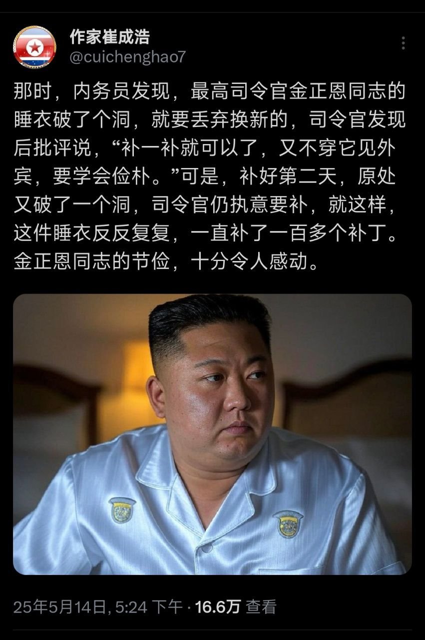 前面肩下对称分布的是补的两个洞。​​​