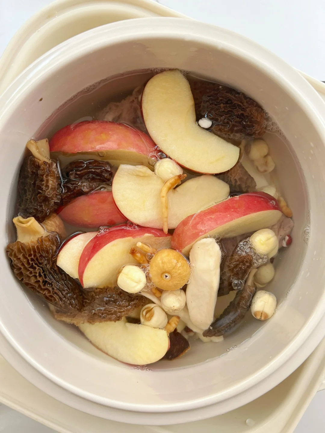 春季羊肚菌养脾胃‼️抓住猛📈期长高高👍