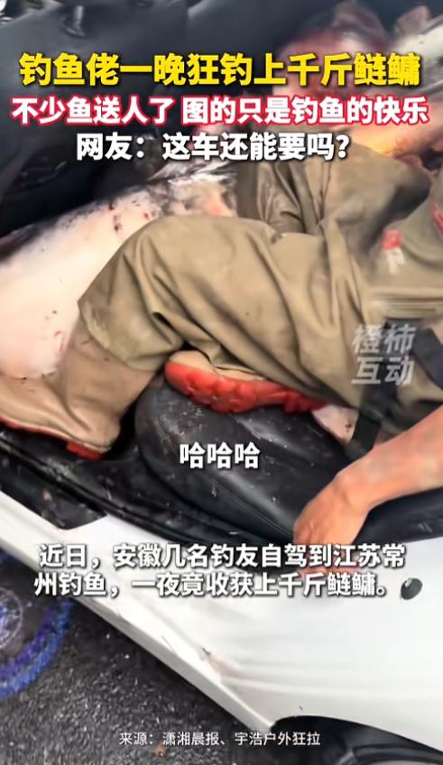 “这车还能要么？”8月4日报道，江苏常州，几名安徽的钓友来这儿夜钓，收获满满，一