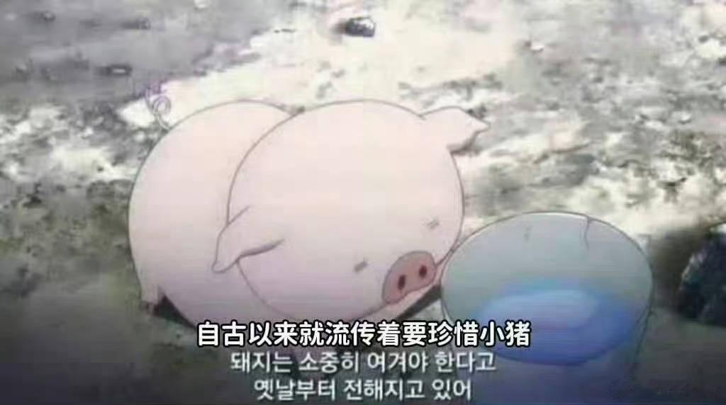 养猪人，养猪魂，养猪都是人上人。一方水土养一方人，我们是爱猪护猪的养猪人。爱猪是