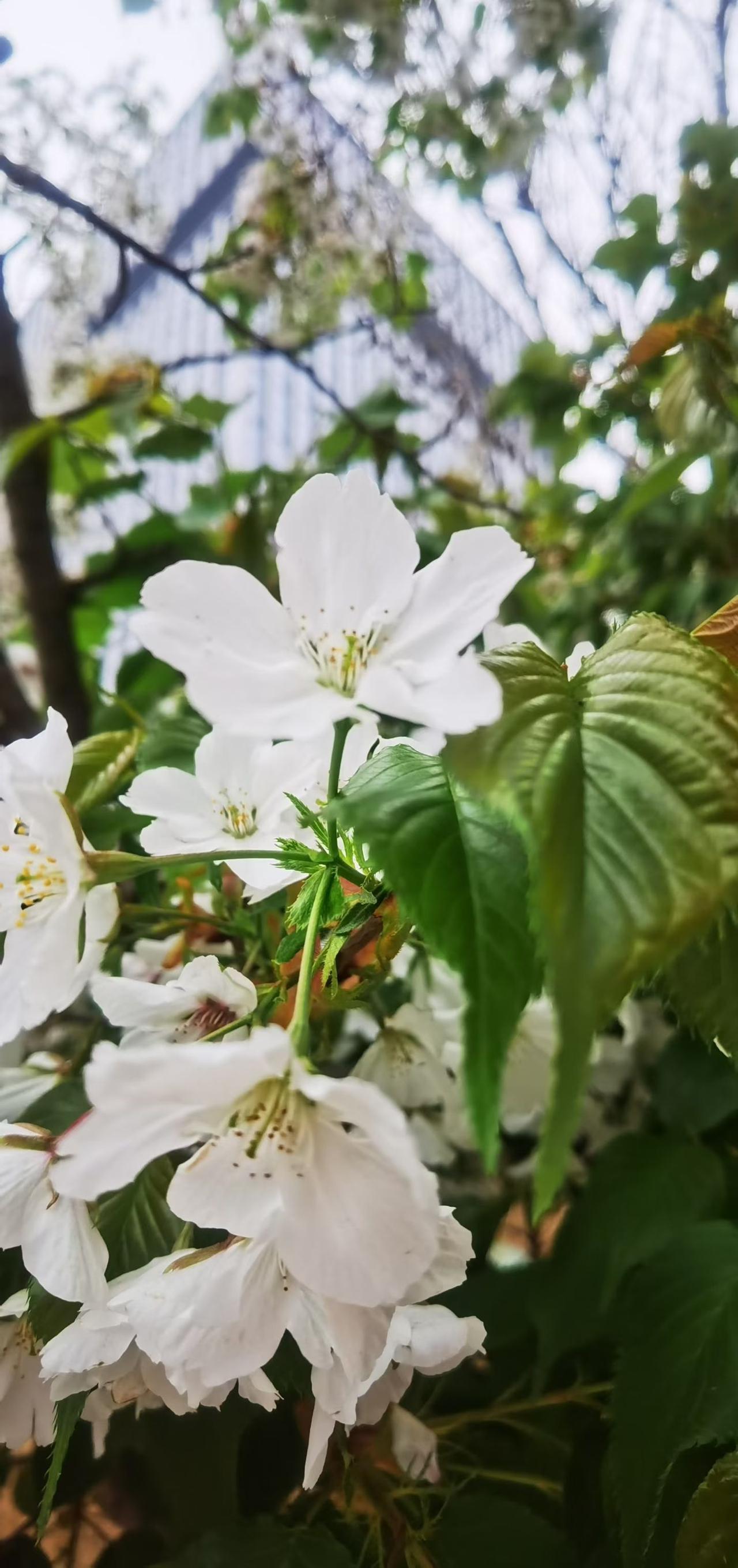 适合做官的人一般具备以下特质：1、精力异于常人。2、性格沉稳。3、心理素质