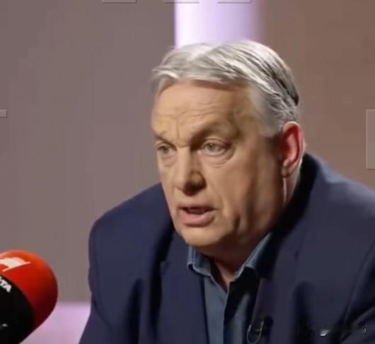 4月17日，匈牙利总理维克托·欧尔班在接受《爱国者报》（Patriota）采访时