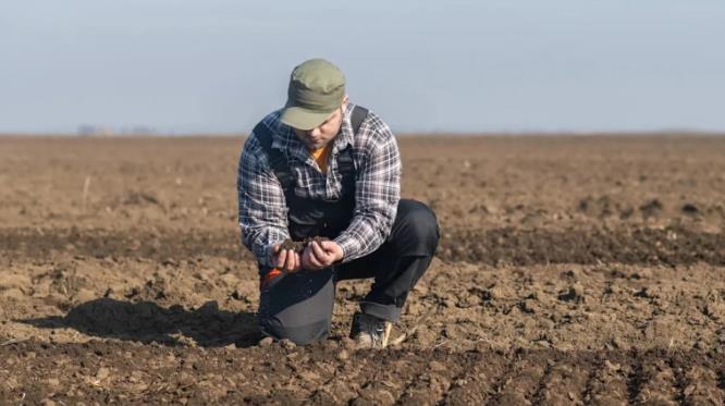 乌克兰的黑土地正在退化乌克兰正在迅速流失的远不止是人口,这个国家或将失去