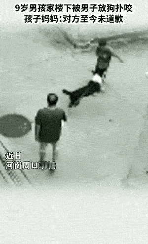 放开狗绳让狗攻击小孩？2026年养犬新规可不是摆设，这已经不是缺德是违法！