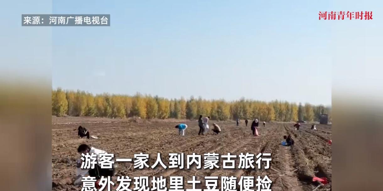 “天上掉馅饼了！”10月3日，内蒙古，一群游客来到当地旅游时，意外发现村民的小土