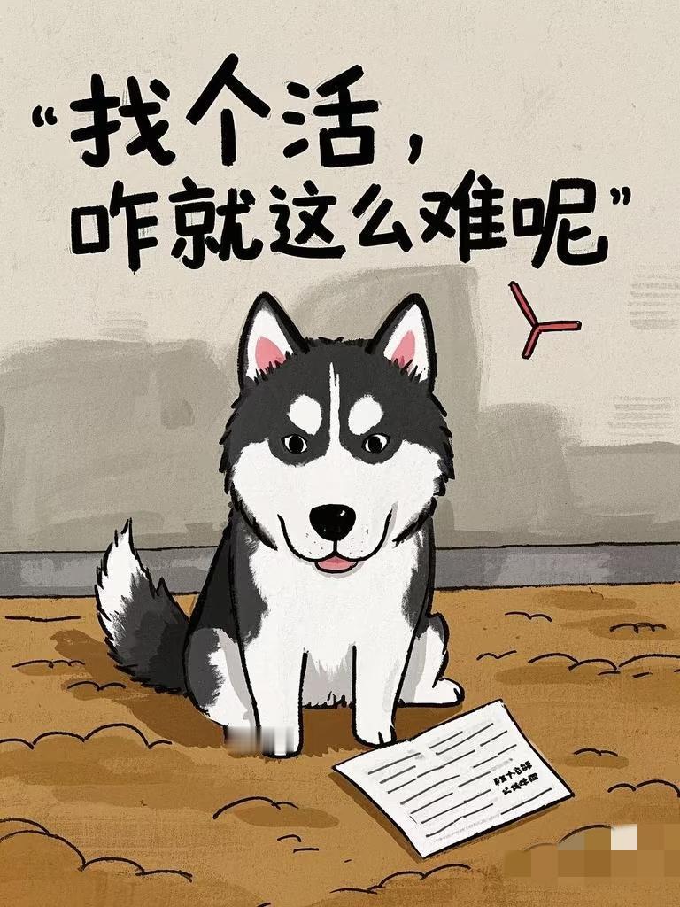 上班久了你会发现，职场里藏着个扎心的真相：五十多岁的人找工作，难的不是没