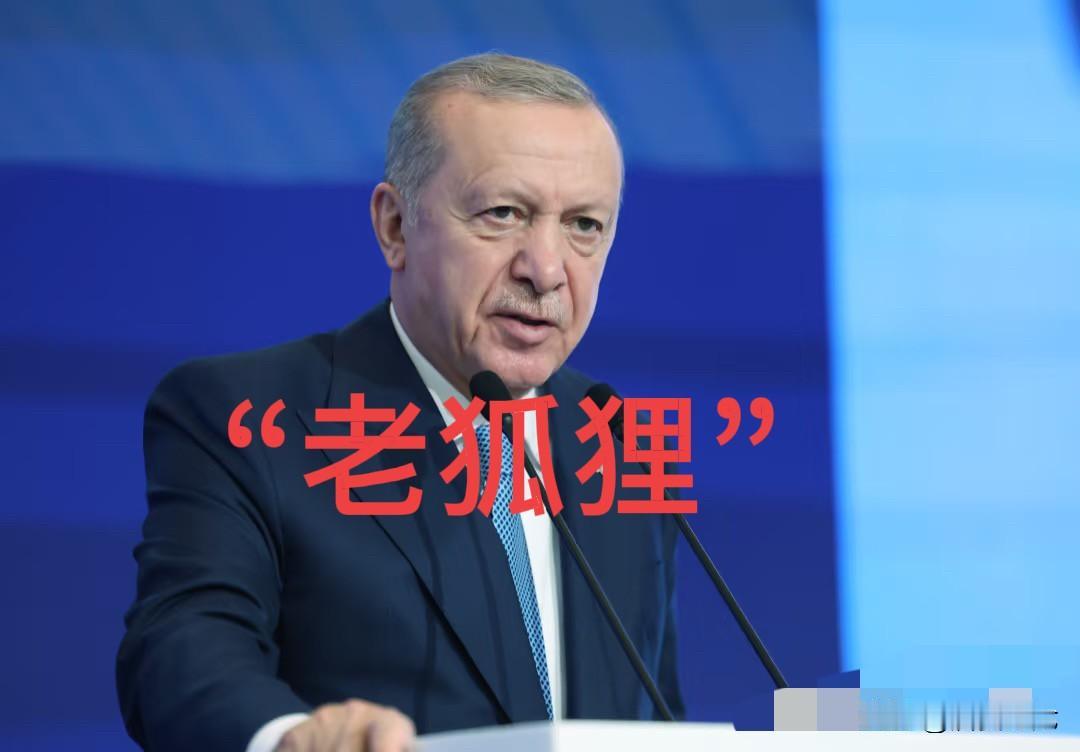 埃尔多安这只老狐狸，“故伎重演”！2013年，红旗-9参加土耳其的远程防空导