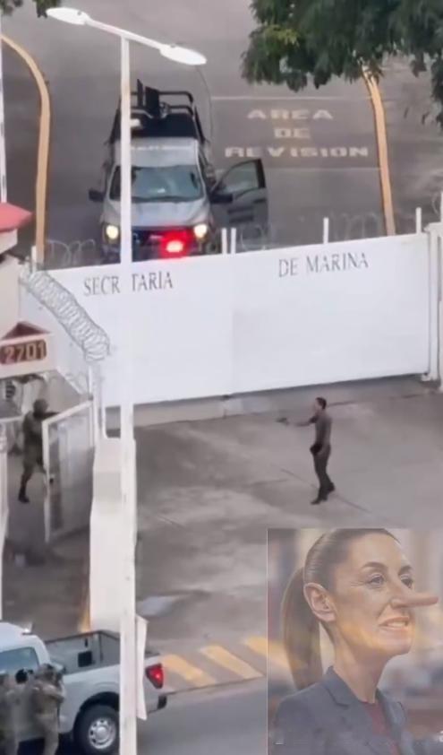 普埃尔托瓦亚尔塔第十二海军区外一起致命枪击事件的监控录像，并将其描述为墨西哥海军